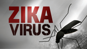 virus zika
