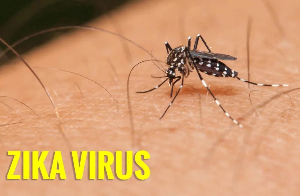 Zika