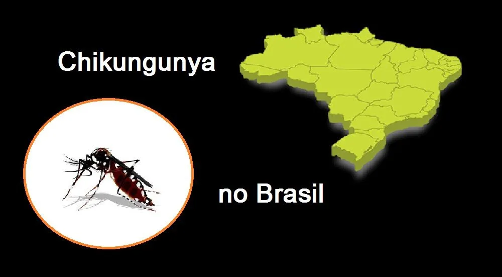 Chikungunya no Brasil