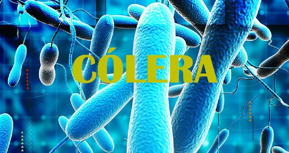 Cólera: Saiba mais