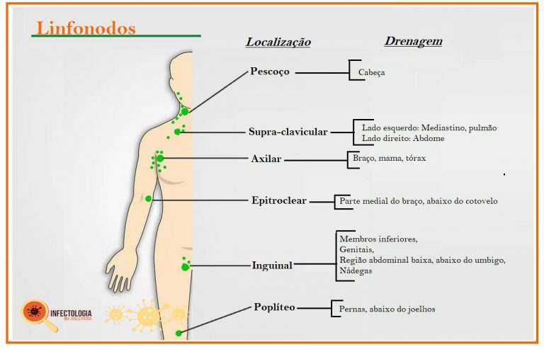 Ínguas e suas Causas Todas as Informações que DEVE Saber