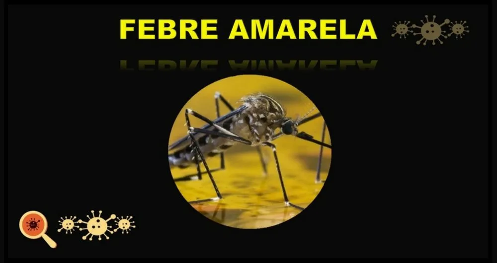 Saiba mais sobre a Febre Amarela