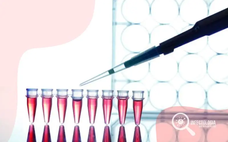 Indivíduos Imunosilenciosos Para HIV