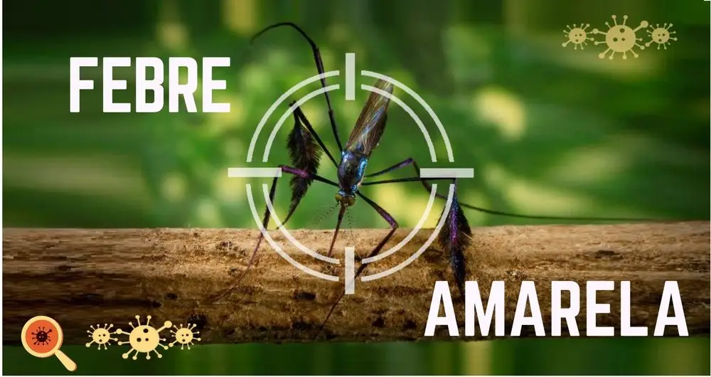 Febre Amarela - prevenção