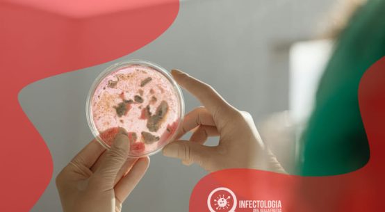 Bactérias Resistentes