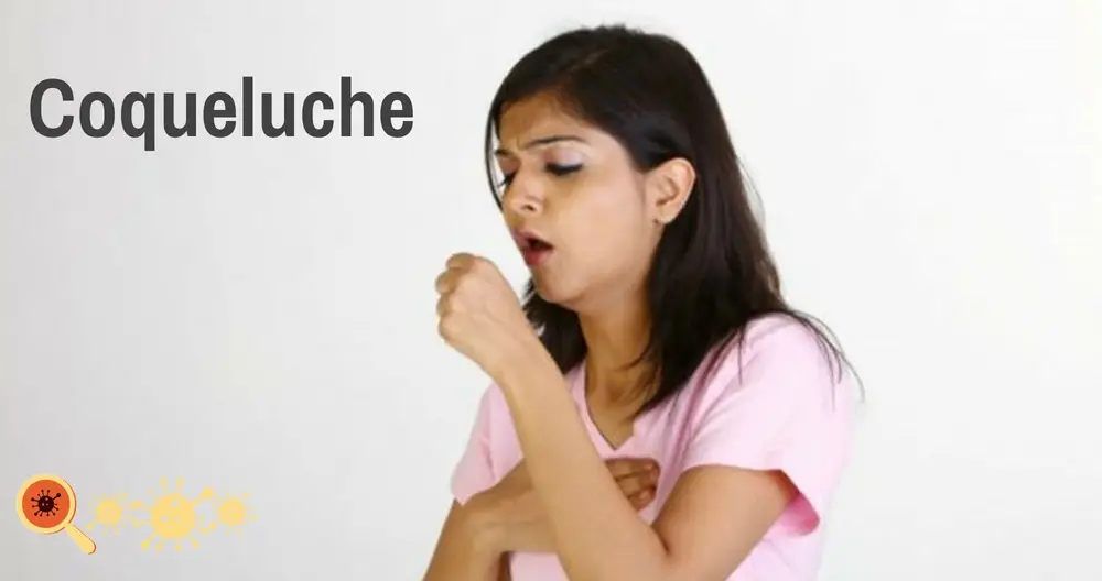 Coqueluche
