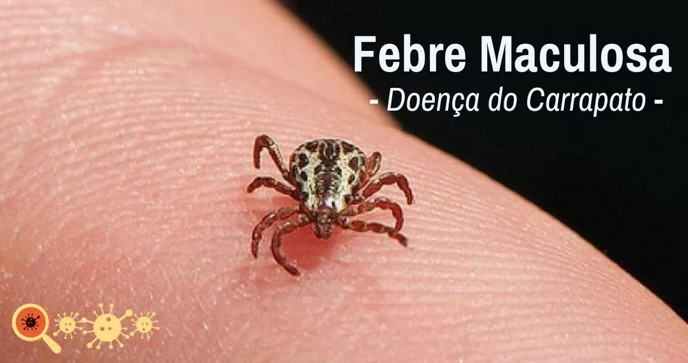 Doença do carrapato: a picada que mata rápido