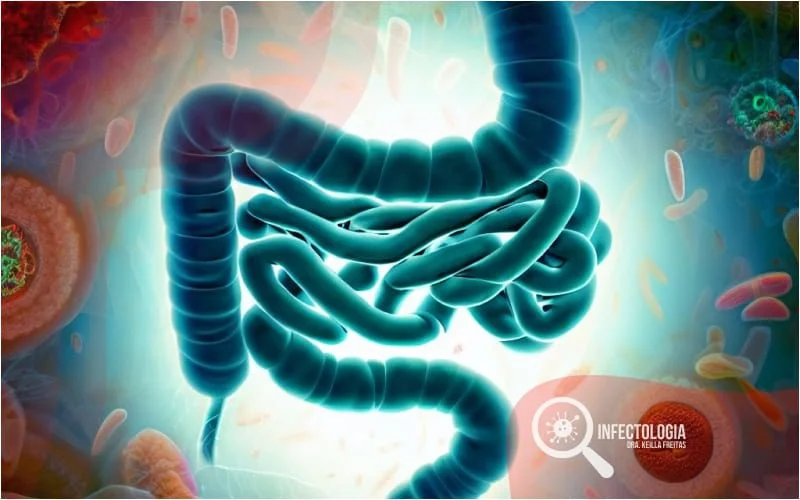 Disbiose Intestinal