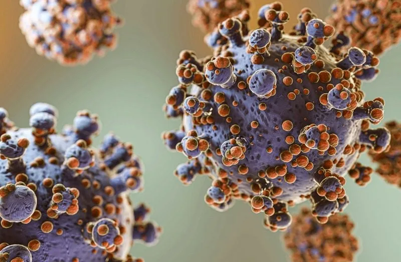 Hepatites Virais