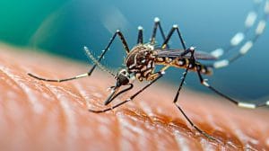 baixa-procura-de-vacina-contra-a-dengue-vtv-news