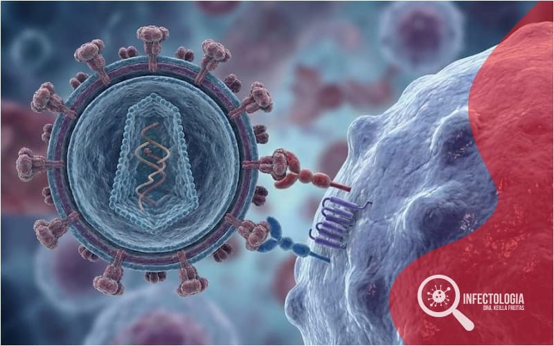 Como o Vírus HIV Age no Organismo Humano